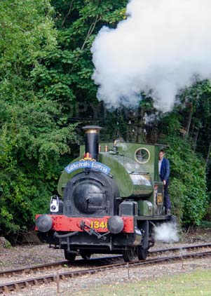 Purchase photo of 1340 TROJAN at Didcot