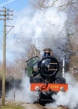 Purchase photo of 2999 LADY OF LEGEND at Didcot