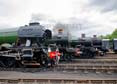 Photograph of Steam Images - Engine Line Up at Didcot on 26/05/25