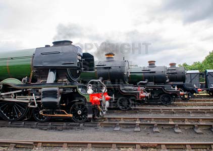 Purchase photo of Engine Line Up at Didcot