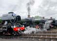 Photograph of Steam Images - Engine Line Up at Didcot on 26/05/25