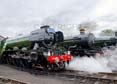 Photograph of PENDENNIS CASTLE - 60103 FLYING SCOTSMAN &  4079 PENDENNIS CASTLE at Didcot on 26/05/25