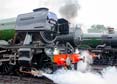 Photograph of Steam Images - Time To Steam at Didcot on 26/05/25