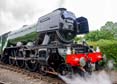 Photograph of FLYING SCOTSMAN - 60103 FLYING SCOTSMAN at Didcot on 26/05/25
