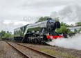 Photograph of FLYING SCOTSMAN - 60103 FLYING SCOTSMAN at Didcot on 26/05/25