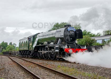 Purchase photo of 60103 FLYING SCOTSMAN at Didcot