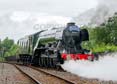 Photograph of FLYING SCOTSMAN - 60103 FLYING SCOTSMAN at Didcot on 26/05/25