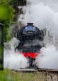 Photograph of FLYING SCOTSMAN - 60103 FLYING SCOTSMAN at Didcot on 26/05/25