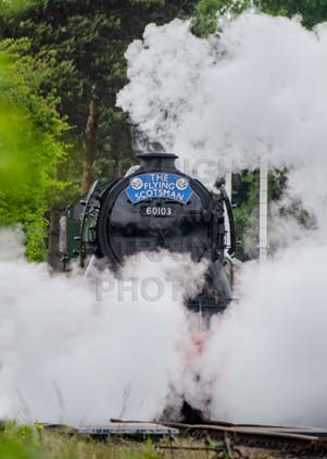 Purchase photo of 60103 FLYING SCOTSMAN at Didcot