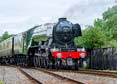 Photograph of FLYING SCOTSMAN - 60103 FLYING SCOTSMAN at Didcot on 26/05/25