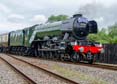 Photograph of FLYING SCOTSMAN - 60103 FLYING SCOTSMAN at Didcot on 26/05/25