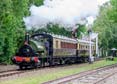 Photograph of TROJAN - 1340 TROJAN at Didcot on 26/05/25
