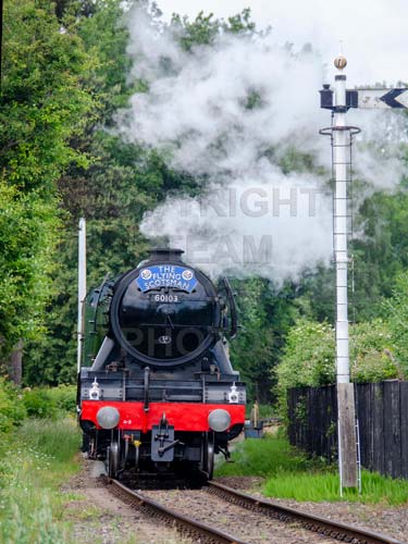 See large image