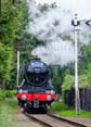 Photograph of FLYING SCOTSMAN - 60103 FLYING SCOTSMAN at Didcot on 26/05/25
