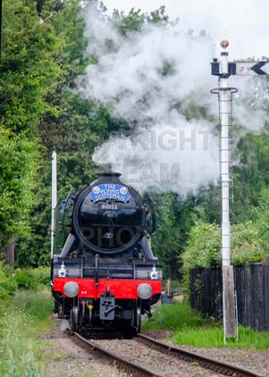 Purchase photo of 60103 FLYING SCOTSMAN at Didcot