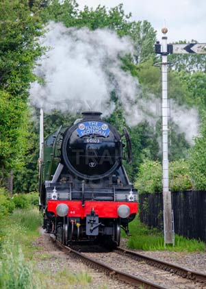 Purchase photo of 60103 FLYING SCOTSMAN at Didcot