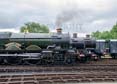 Photograph of Steam Images - Engine Line Up at Didcot on 26/05/25