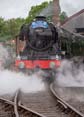 Photograph of FLYING SCOTSMAN - 60103 FLYING SCOTSMAN at Didcot on 26/05/25