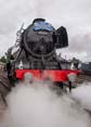 Photograph of FLYING SCOTSMAN - 60103 FLYING SCOTSMAN at Didcot on 26/05/25