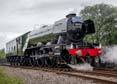 Photograph of FLYING SCOTSMAN - 60103 FLYING SCOTSMAN at Didcot on 26/05/25