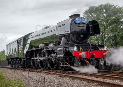 Purchase photo of 60103 FLYING SCOTSMAN at Didcot