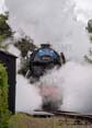 Photograph of FLYING SCOTSMAN - 60103 FLYING SCOTSMAN at Didcot on 26/05/25