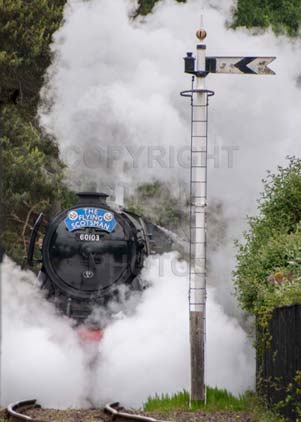 Purchase photo of 60103 FLYING SCOTSMAN at Didcot