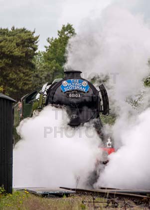 Purchase photo of 60103 FLYING SCOTSMAN at Didcot
