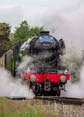 Photograph of FLYING SCOTSMAN - 60103 FLYING SCOTSMAN at Didcot on 26/05/25