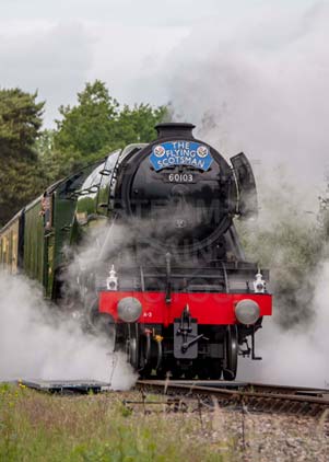 Purchase photo of 60103 FLYING SCOTSMAN at Didcot