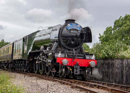 Purchase photo of 60103 FLYING SCOTSMAN at Didcot