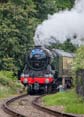 Photograph of FLYING SCOTSMAN - 60103 FLYING SCOTSMAN at Didcot on 26/05/25