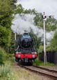 Photograph of FLYING SCOTSMAN - 60103 FLYING SCOTSMAN at Didcot on 26/05/25