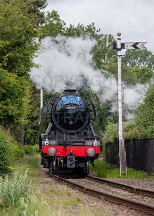 Purchase photo of 60103 FLYING SCOTSMAN at Didcot
