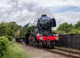 Photograph of FLYING SCOTSMAN - 60103 FLYING SCOTSMAN at Didcot on 26/05/25