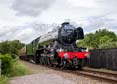 Photograph of FLYING SCOTSMAN - 60103 FLYING SCOTSMAN at Didcot on 26/05/25