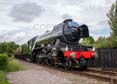 Photograph of FLYING SCOTSMAN - 60103 FLYING SCOTSMAN at Didcot on 26/05/25