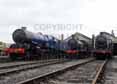 Photograph of T9 - 6023 KING EDWARD II,  30120 T9 &  3822 2-8-0 at Didcot on 27/08/14