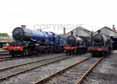 Photograph of T9 - 6023 KING EDWARD II,  30120 T9 &  3822 2-8-0 at Didcot on 27/08/14