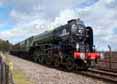 Photograph of TORNADO - 60163 TORNADO at Didcot on 27/03/16