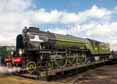 Photograph of TORNADO - 60163 TORNADO at Didcot on 27/03/16