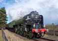Photograph of TORNADO - 60163 TORNADO at Didcot on 27/03/16