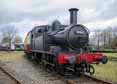 Photograph of 0-4-2T - 1466 0-4-2T at Didcot on 27/03/16