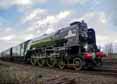 Photograph of TORNADO - 60163 TORNADO at Didcot on 27/03/16