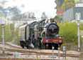 Photograph of ROOD ASHTON HALL - 4965 ROOD ASHTON HALL &  5043 EARL OF MOUNT EDGCUMBE at Didcot on 28/04/13