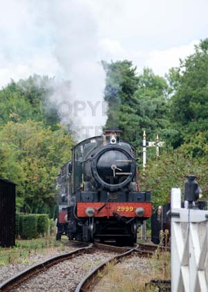 Purchase photo of 2999 LADY OF LEGEND at Didcot