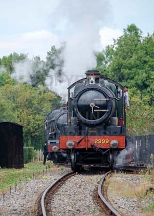 Purchase photo of 2999 LADY OF LEGEND at Didcot