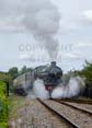 Photograph of Steam Images - Time To Steam at Didcot on 28/08/22