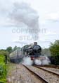 Photograph of PENDENNIS CASTLE - 4079 PENDENNIS CASTLE at Didcot on 28/08/22
