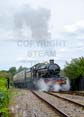 Photograph of PENDENNIS CASTLE - 4079 PENDENNIS CASTLE at Didcot on 28/08/22